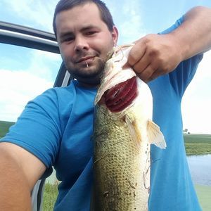 Meet your Posher, Curtis